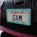 Fishing Flies Lures Fish Pattern License Plate Tag Frame