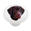 Chocolate Lab Decorative High Gloss Ceramic Drawer Knob 
