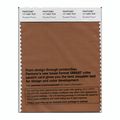 Pantone Smart Swatch 17-1052 Roasted Pecan 