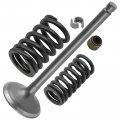 Caltric Exhaust Valve Kit Compatible With Kawasaki Bayou 220 Klf220a 1988-2002 250 Klf250a 2003-2011