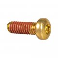Torx Truss Hd Screw Polaris Oem 