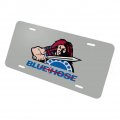 Presbyterian College Secondary Logo Novelty Metal Vanity Tag License Plate