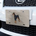 Graphics More Doberman Pinscher Dog Pet Novelty Metal Vanity Tag License Plate 