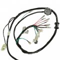Caltric Wire Harness Compatible With Honda Fourtrax 300 Trx300 2x4 E-shift 1998 1999 2000