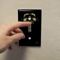 Shadow Skull Monster Horns Fantasy Plastic Wall Decor Toggle Light Switch Plate Cover 