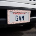 Seashells And Lashes License Plate Tag Frame
