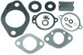 Sierra International 18-7021 Carburetor Kit 