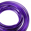 X Autohaux 5m Purple Chrome Decorative Line Car Interior Gap Door Window Decroative Trim Strip