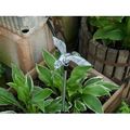 Solar Garden Led Light Hummingbird 2 Pieces Blue Landscape Path Lights With Lithium Battery 