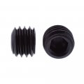 Prime-line Socket Set Screws Metric M8-1 25 X 6mm Black Oxide Coated Steel 10 Pack