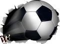 Soccer Ball 46x34 Inch Large Fabric Wall Skin Decor By Wallthat 