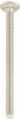 Stainless Steel Carriage Bolt 1 4 In X 3 5 Grade 2 Round Flat Head 25 Pack Model 832530