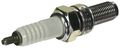 Ngk Spark Plug 