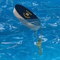 Graphics More Quinnipiac University Bobcats Logo Floating Keychain Oval Foam Fishing Boat Buoy Key Float