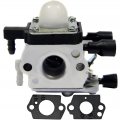 Procompany Carburetor Replaces For Stihl Zama C1q-s186 Fit Fs55 Fs55r Fs55rc Hs45 Weedeater