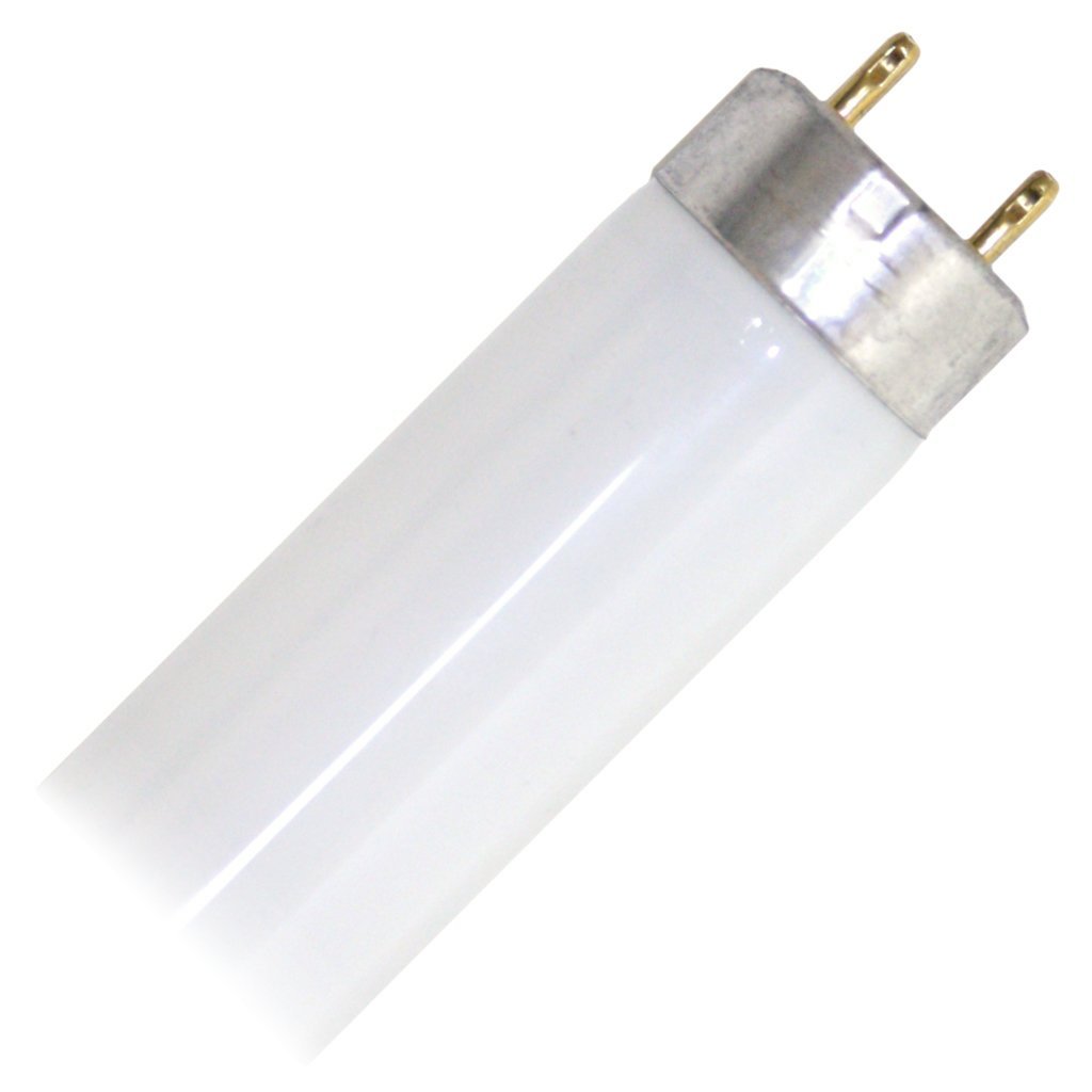F17t8 Fluor Lamp Cw