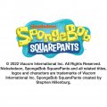 Spongebob Confident Face License Plate Tag Frame