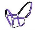 Centaur Cushion Web Breakaway Halter Size Horse Color Purple 