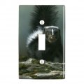Curious Skunk Plastic Wall Decor Toggle Light Switch Plate Cover 
