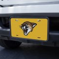 Graphics More University Of Vermont Secondary Novelty Metal Vanity Tag License Plate