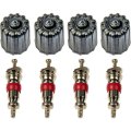 Tire Pressure Monitoring System Service Set Anodized Aluminum With 4 Valve Cores And Caps 609 126 Alx Pau Rb Cl360a50 