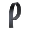 Serpentine Belt For Mercury Grand Marquis 2000 2001 2002 6 Rib 92 13 In Outside Circumference 91 57 Effective Length 