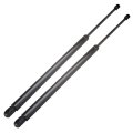 Liftgate Struts Shocks Lift Supports Gas Springs For Chrysler Pacifica 2004 2008 6154 Sg214023 Set Of 2 