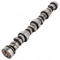Ocpty Engine Camshaft Kit Fit For 2002-2004 Cadillac Escalade Chevy Avalanche 1500 2004 Buick Rainier T101067 12560967