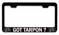 Got Tarpon Fishing Fisherman Bl Steel Auto Suv License Plate Frame Tag Holder 