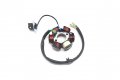 Chanoc 6 Poles Ignition Magneto Stator For 50cc 70cc 90cc 110cc Atv Moped Quad