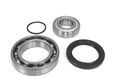 Chain Case Bearing And Seal Kit Jack Shaft Polaris Switchback Fst 2006 2007 