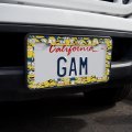 Minions Minion Collage License Plate Tag Frame