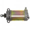 Niche Starter Motor For Yamaha Venture Sx Viper Xl Mountain Max 700 Sx700s Phazer 500 8cw-81800-01-00