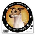 Tan Italian Greyhound My Best Friend Magnet 