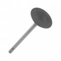 Caltric Intake Valve New Compatible With Honda Rebel 1100 Cmx1100 2021 14711-hl4-000