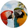 Set Of 2 Macaws Couple Ceramic Cabinet Drawer Knobs 