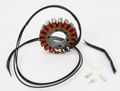 Ricks Stator Suzuki 