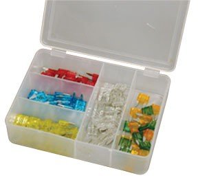 100 Pc Mini Care Fuse Asst