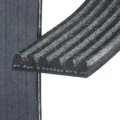 V Ribbed Serpentine Belt For Volkswagen Routan 2011 2014 Black 77 00 In Effective Length 625 Outside Circumference Alx Pau Ac