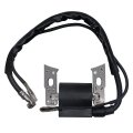Ignition Coil Fit For 595291 796500 595554 796499 594423 Replacement 11p902 114p02 122q02 124q02 124s02 12q902 12r902 12s902 