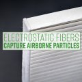 Ecogard Xc36080 Premium Cabin Air Filter One Pack