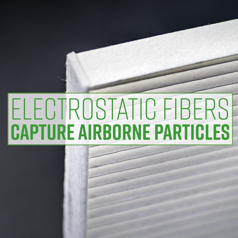 Ecogard Xc36080 Premium Cabin Air Filter One Pack