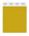 Pantone Smart 16-0952x Color Swatch Card Nugget Gold 