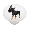 Mega Noggin Minature Pinscher Decorative High Gloss Ceramic Drawer Knob 