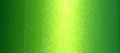 Custom Shop Ktu445-qp Uranium Green Metallic Striping Ure 