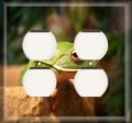 Snazzyswitch Decorative Outlet Cover Plate Fat Frog Double Duplex Receptacle 
