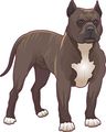 4in X 5in Brown Blonde Pitbull Sticker By Stickertalk 