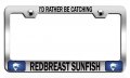 I D Rather Be Catching Redbreast Sunfish Fishing Chrome Metal License Plate Frame Tag Holder H16 