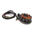 The Rop Shop Stator Generator Assembly For 1996 Polaris Fits Pwc Slt 780 Euro Slx 