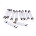 20amp Universal Microwave Ceramic Tube Slow Blow Wire Ovens Fuses Parts 250v 60